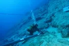 Kekova'da tarihi keşif! Dünyanın en eski batığı bulundu: Denizciler gemide peynir mi yapıyordu?
