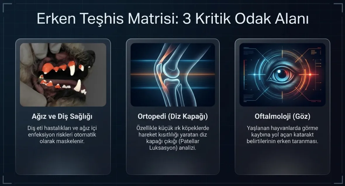 telefon-kamerasiyla-evcil-hayvan-sagligi-1781716403197.png Bu yapay zeka evcil hayvanınızın hastalıklarını fotoğraftan tanıyacak-6