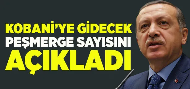 Kobani’ye gidecek peşmerge sayısı azaltıldı