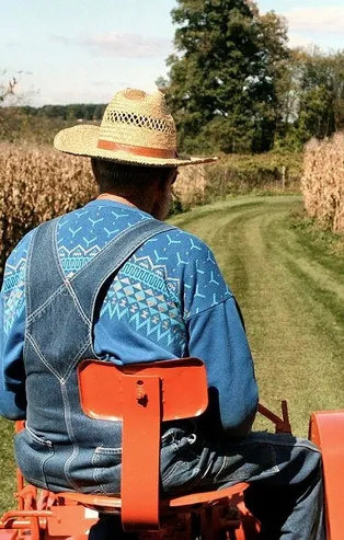 Son dakika: Başkan Erdoğan talimat verdi: 7 ilde çiftçiye ücretsiz arazi! İşte çiftçiye ücretsiz arazi verilecek iller