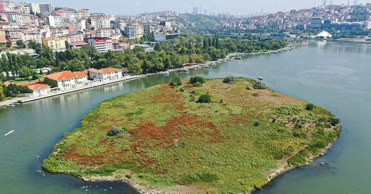 Chp Li Ibb Nin Halic Yalani Suyu Siyaha Burundu Kiyi Kesimlerinde Copler Birikti Takvim