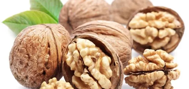 Yorgunluğun ilacı ceviz