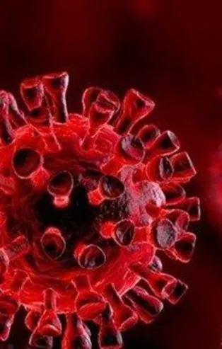 İnternetten Covid tedavisi