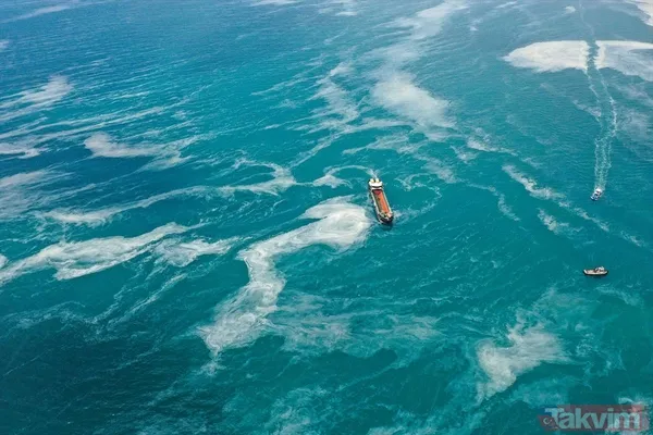 Caddebostan Sahili'nde müsilaj yoğunluğu arttı! Tabloya benzer görüntüler oluştu - 19
