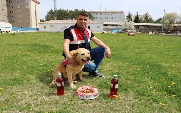 jandarmanin-goz-bebegi-iz-kopegi-hisar-emekli-oldu-1619764521931.jpg Jandarma'nın göz bebeği iz köpeği Hisar emekli oldu-2