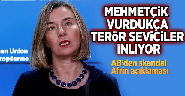 AB’den Afrin açıklaması