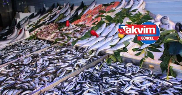 Güncel balık fiyatları: İstavrit, uskumru, mezgit, çinekop, lüfer...