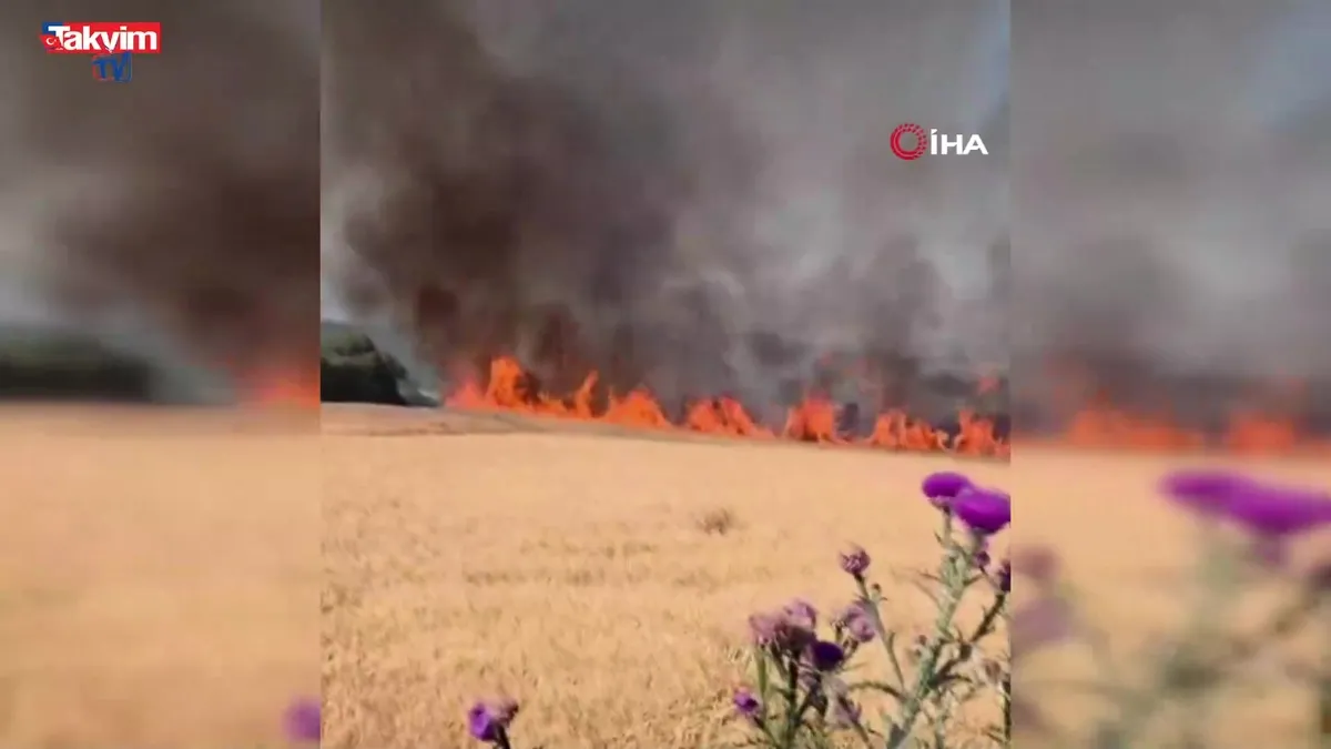 Susurluk-Bandırma karayolunda tarla yangını!