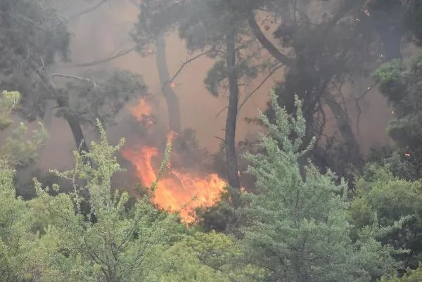 İzmir ve Alanya'da orman yangını-7