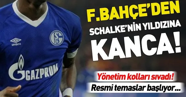 Fenerbahçe, Schalke’de forma giyen genç yıldız Embolo’yu bitirmek istiyor