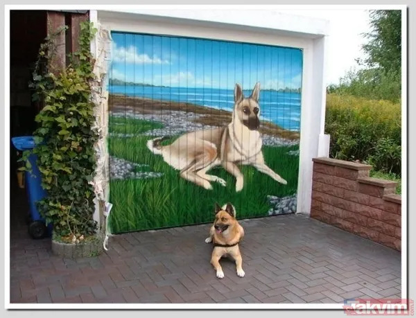 En sıra dışı garaj kapıları - 15