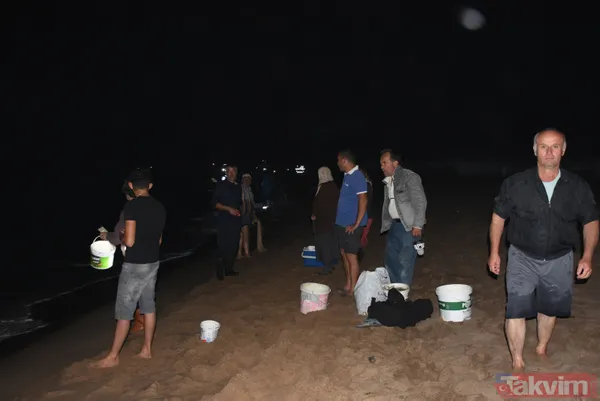 Tonlarca balık kıyıya vurdu! Çuvalı, kovayı kopan sahile koştu - 1