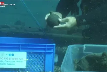 Osmanlı'nın kayıp gemisi Akdeniz'de bulundu