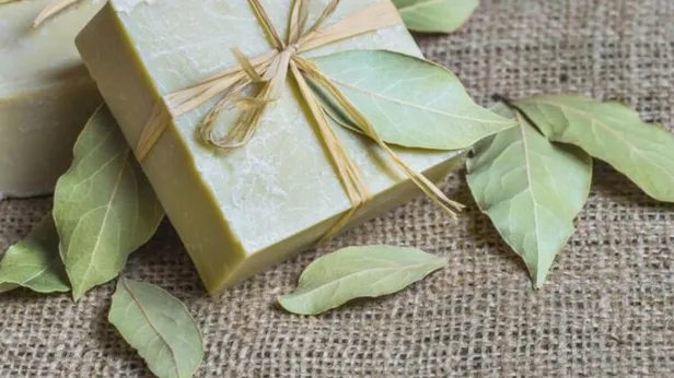 Çay ağacı sabunu faydaları nelerdir? Çay ağacı sabunu nasıl kullanılır? Çay ağacı sabunu ne işe yarar?-6