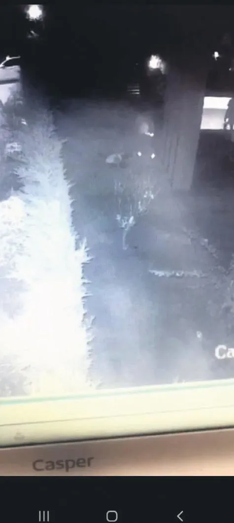 Ukraynalı model Daria Kyryliuk'un Türkiye turizmini baltalayan çirkin oyununu TAKVİM bozdu-3