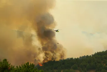 Uşak'ta orman yangını! Ekipler havadan ve karadan müdahale ediyor