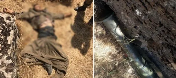 Öldürülen hainin üzerinden çıktı