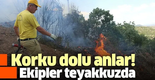 Manisa'da orman yangını!