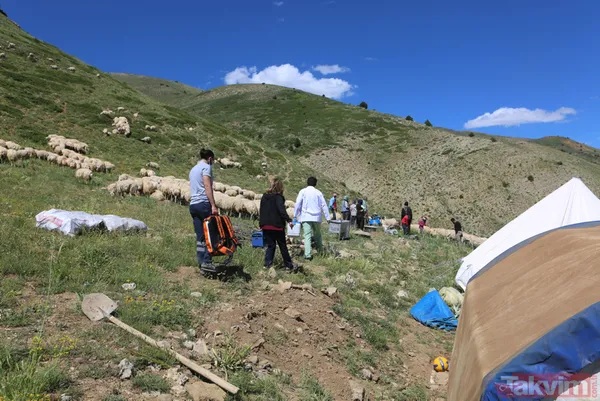 Tunceli'de sürü sahipleri 2 bin 500 metre rakımlı yaylada aşılandı - 14