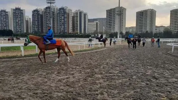 İşte Türkiye'nin yeni normali! 1 Haziran'dan itibaren...-7