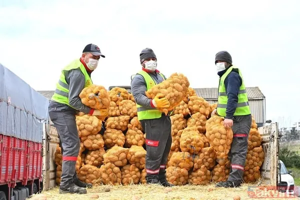 Başkan Erdoğan talimat vermişti! Çiftçiden alınan patatesler ihtiyaç sahibi vatandaşlara dağıtılmaya başlandı - 1