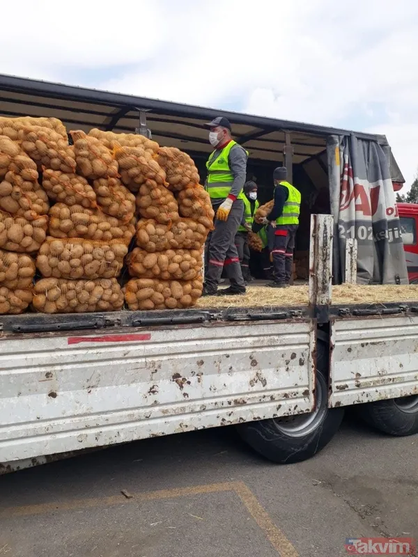 Başkan Erdoğan talimat vermişti! Çiftçiden alınan patatesler ihtiyaç sahibi vatandaşlara dağıtılmaya başlandı - 9