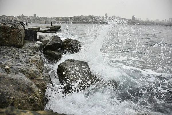 Lodostan gelen servet! Marmara Denizi kırmızıya boyandı! İlaç ve kimyada kullanılıyor-3
