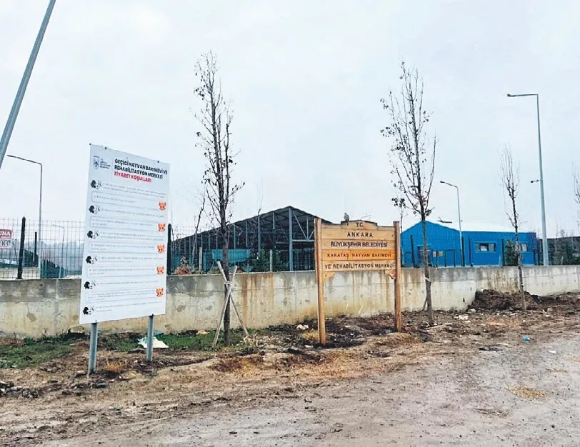 Ankara’daki barınakta infial yaratan iddia