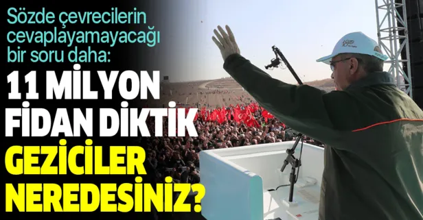 Başkan Erdoğan’dan sözde çevrecilere sert tepki