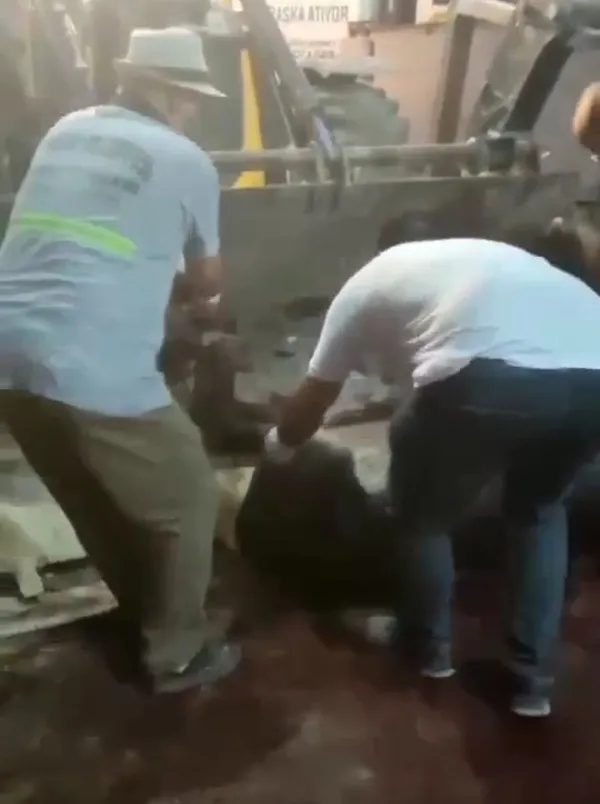 Adana'da mide bulandıran görüntü! 12 kesilmiş eşek ele geçirildi!-6