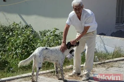Bir dönemin ünlüleri şimdi ne yapıyor?