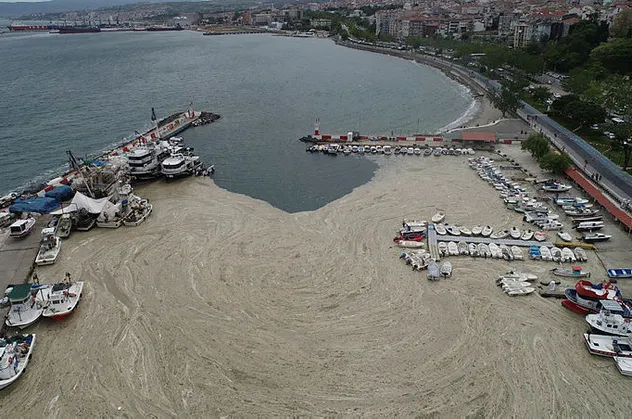Marmara Denizi ölüyor! Felakete dikkat çektiler! Deniz salyası...