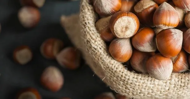 10 Mart 2021: Fındık fiyatları ne kadar oldu? 10 Mart il il fındık fiyatları listesi! Ordu, Giresun, Trabzon, Zonguldak...