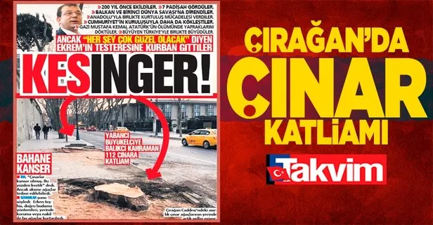 CHP’li İBB Çırağan’daki asırlık çınarları kanseri bahane ederek tek tek kesti