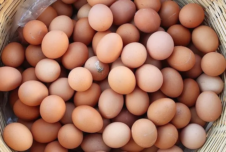 İki gözüm yumurta