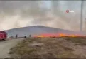Paşalimanı Adası'nda yangın