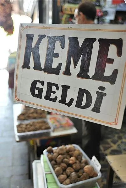 Keme mantarının kilosu 175 liradan satılıyor-5