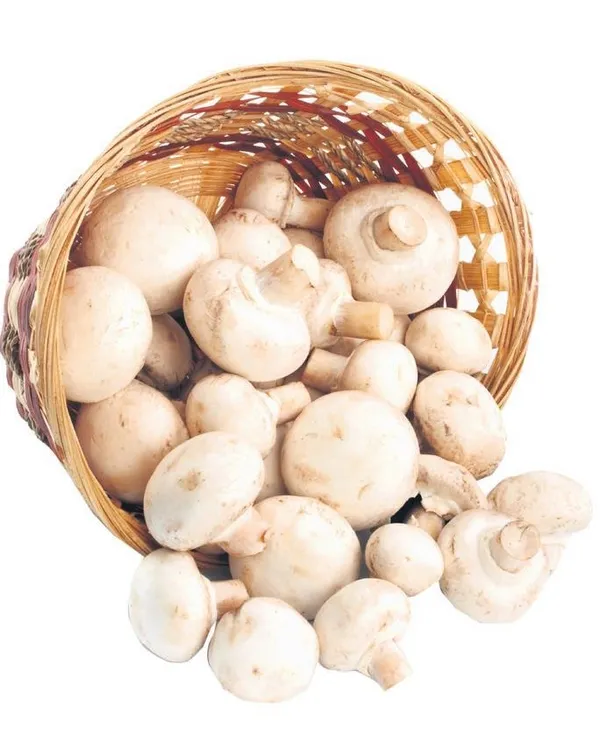 Uzmanlar anında enerji veren 9 sağlıklı besini sıraladı-2