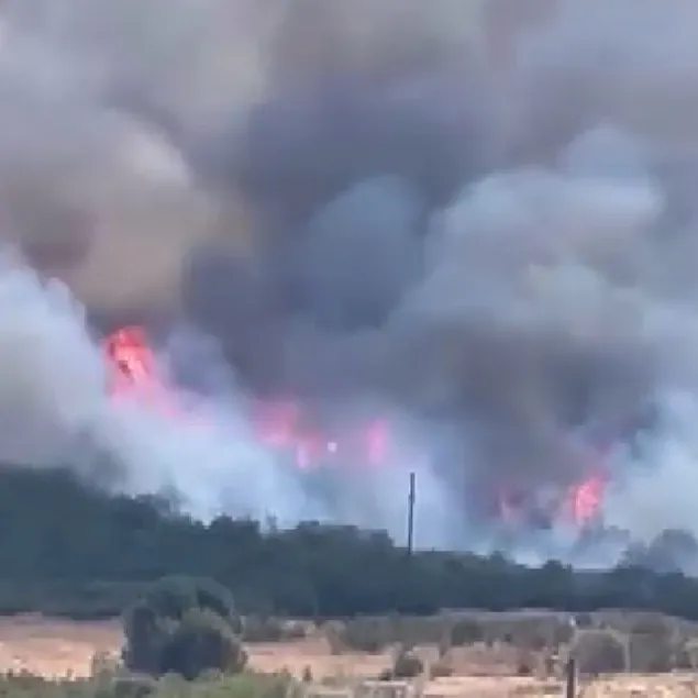 Bursa’daki yangın kontrol altında