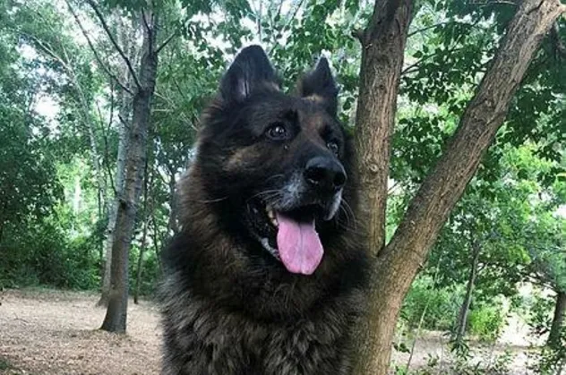 Nero cinayetinde flaş gelişme: ABD’li şirket tüm ilişkisini kestiğini açıkladı