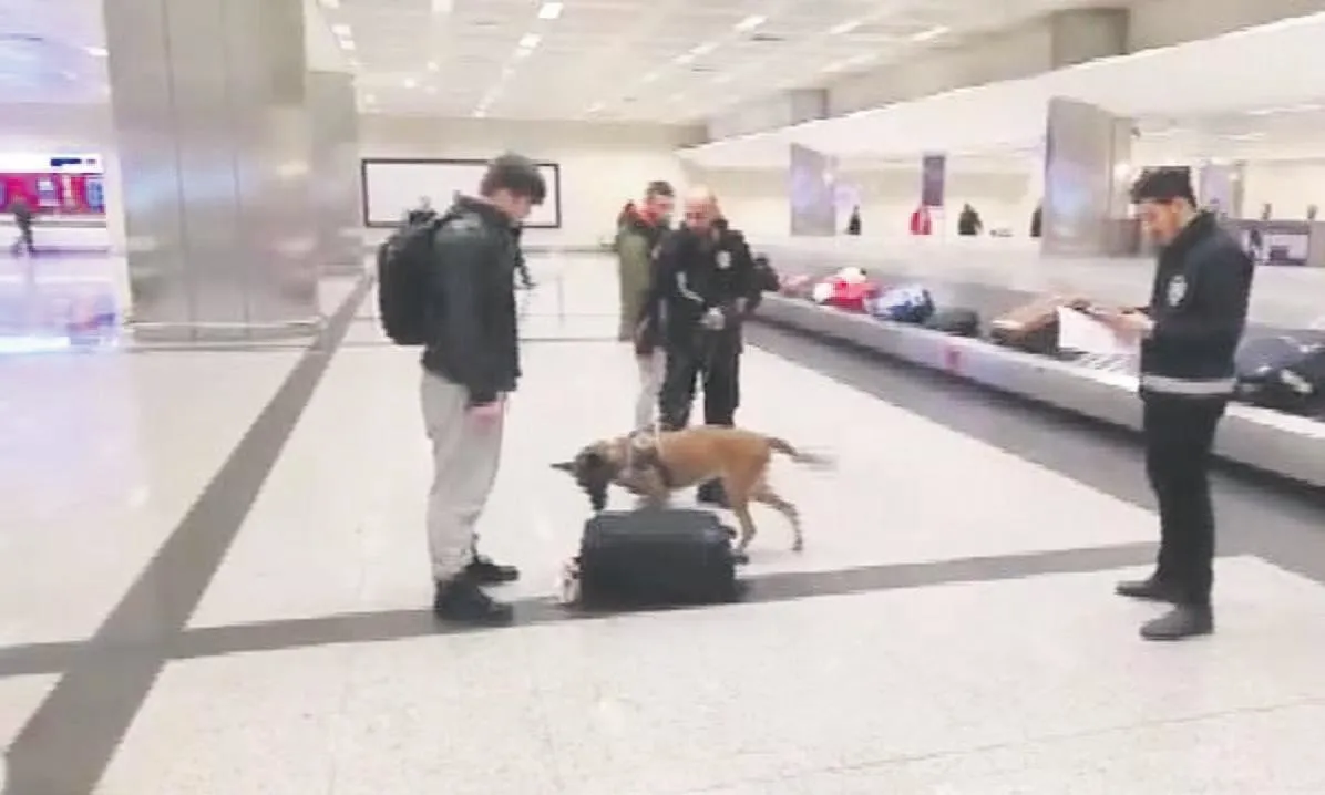 'Hav'rupa’ya cevap