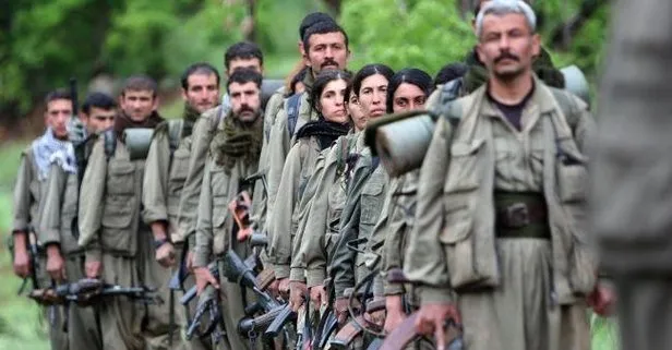 Van’da teslim olan PKK’lı terörist itiraf etti: Örgüt içi infaz ve işkence başladı