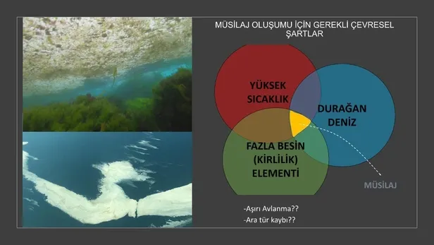 deniz-salyasi-gercekleri-temel-atmama-degil-yuzlerce-temel-atma-ister-1623450681024.jpeg 'Deniz salyası' gerçekleri: 'Temel atmama' değil yüzlerce 'temel atma' ister!-7