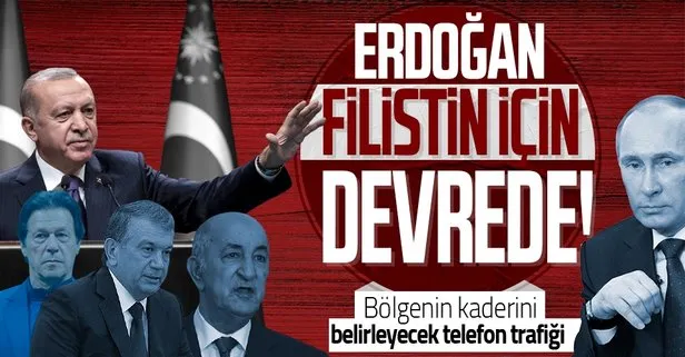Son dakika: Başkan Erdoğan’dan üst üste kritik görüşmeler! Putin,  Abdülmecid Tebbun, Mirziyoyev...