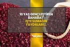 10 yaş gençleştiren baharat! Kalp ve damar rahatsızlığı için birebir! Her derde deva sumak...