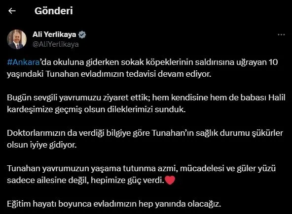 ankara-keciorende-basibos-kopeklerin-saldirisina-ugramisti-icisleri-bakani-ali-yerlikayadan-tunahan-yilmaza-zi-1702655284080.jpeg Ankara Keçiören'de başıboş köpeklerin saldırısına uğramıştı! Solunum makinesinden ayrılan Tunahan'a Ali Yerlikaya'dan ziyaret-6