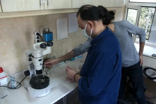Keşfettikleri balık katili parazite "Adana’yı onurlandırmak için 'Adana' ismini verdiler-6