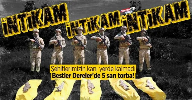 Şehitlerimizin intikamı alındı: Bestler Dereler’de 5 terörist sarı torbada!