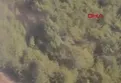 İzmir'de orman yangını!