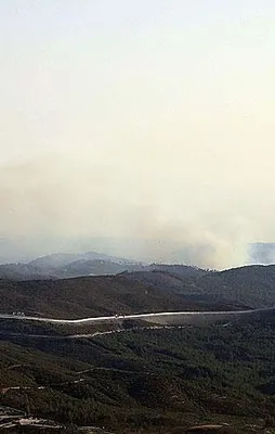 Türkmendağı'nda orman yangını